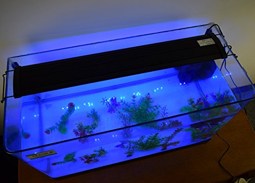 Lapme - Lampada per acquario Eco, luce