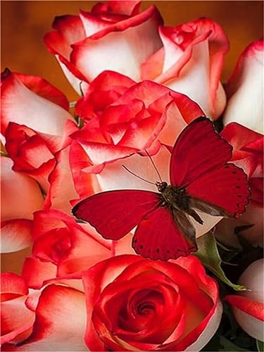 DIY Broderie Peinture Diamant Papillon Rose Point de Croix Adulte 90x120cm