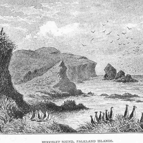 S8 Ep733: 3. Guest Author: Eric J. Dolin. Charles Barnard rescues the *Isabella* castaways, but British Lieutenant D'Aranda betrays him, seizing the *Nanina* as a prize of war. D'Aranda abandons Barnard's hunting party, who survive 534 days in wretched conditions.