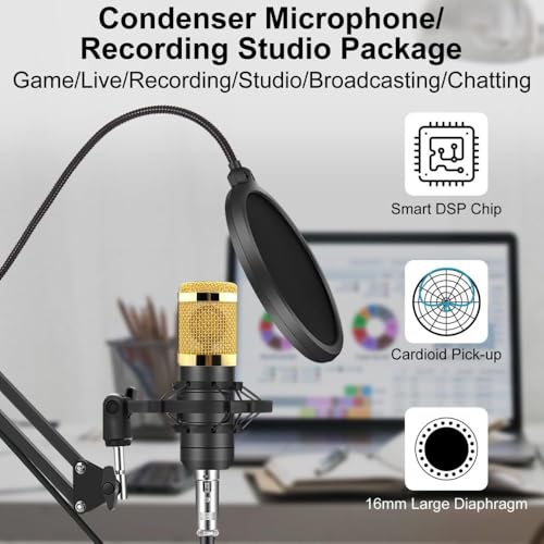 Image of TECHBLAZE Professional USB Condenser Microphone with Double-Layer Noise Filter, Metal Protective Mesh, Alloy XLR Interface, Plug-and-Play PC Mic for Gaming, Streaming, Podcasting & Recording