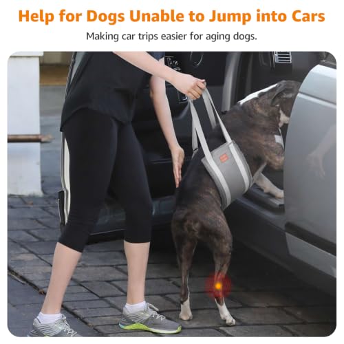 Image of LOOBANI Dog Sling for Large Dogs Hind Leg Support Injury Rehabilitation