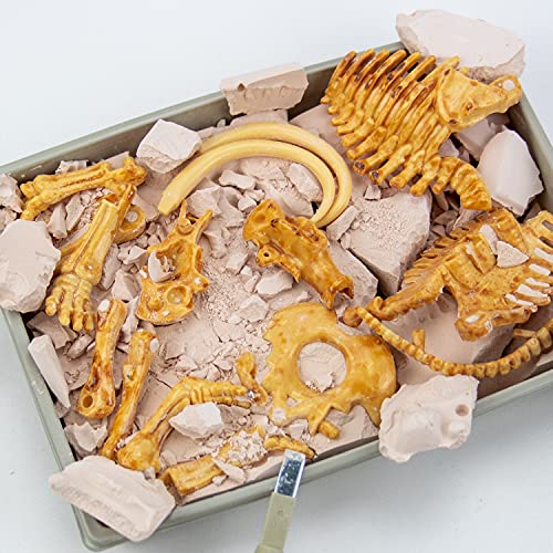 Science4you Mammut Dino Ausgrabungsset Kinder +6 - Archäologie Set Für Kinder mit 17 Teilen, Grab Dein Dinosaurier Spielzeug - Experimentierkasten, Kinder +6 Jahre – Bild 3