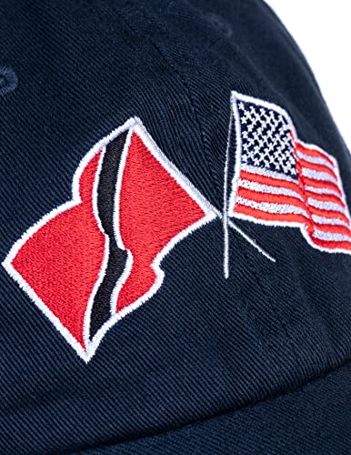 Image of Ann Arbor T-shirt Co. American Friendship Nations Flag Baseball Low Profile Dad Hat for Men Women