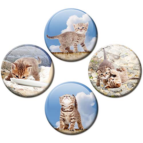 Guma Magneticum 2520 frigorifero magnete Gatto Set...