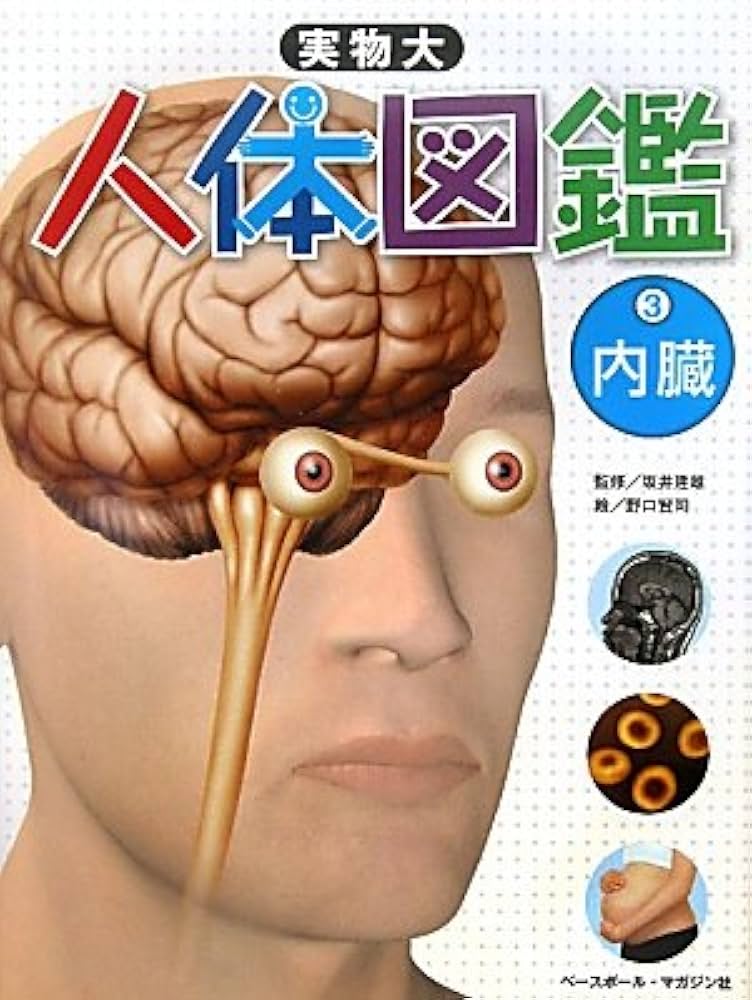 実物大 人体図鑑 3内臓 | 坂井 建雄, こどもくらぶ, 野口 賢司