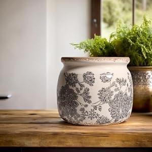 Ceramic Planters for Indoor Plants, Plant Pots with Drainage Hole, 6.29in. Flower Pots for Indoor Plants, Stylish Planters & Succulent Pots, Crackle Glaze Finish Plant Pots Indoor, Gray Ceramic Planters for Indoor Plants Plant Pots with Drainage Hole 629in Flower Pots for Indoor Plants Stylish Planters Succulent Pots Crackle Glaze Finish Plant Pots Indoor Gray