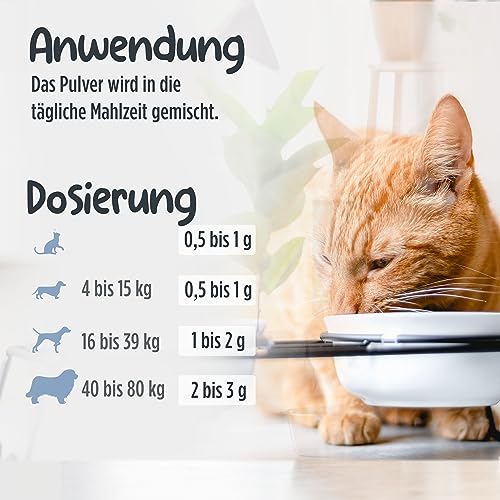 Pets PROTECT 100% Grünlippmuschel-Pulver für Gelenk-Funktion | Sehr hoher Gehalt an Glykosaminoglykanen (3,5%) | Beste Vollfettqualität | Ohne Zusätze | Hund & Katze | 150 g Grünlippmuschelpulver