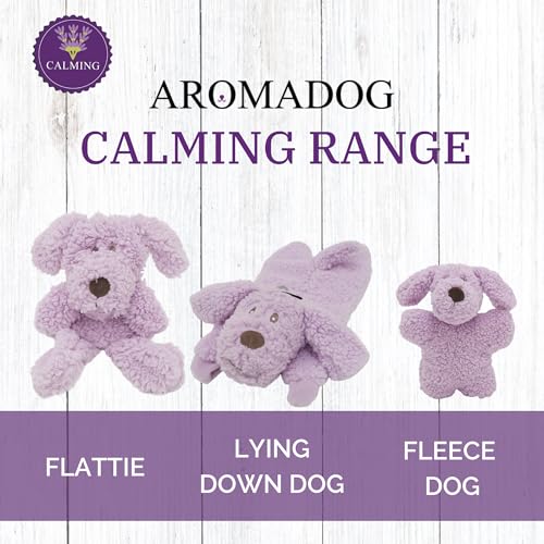 AROMADOG Liegender Bär, weich, aromatisiertes Spielzeug für Hunde, Turquoise, 35 cm