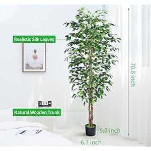 6FT Artificial Ficus Tree,Fake Plants with Sturdy Plastic Nursery Pot,Faux Ficus Trees for Home Office Living Room Farmhouse Indoor Outdoor Decor Perfect Housewarming Gift (6FT-1Pack) 6FT Artificial Ficus TreeFake Plants with Sturdy Plastic Nursery PotFaux Ficus Trees for Home Office Living Room Farmhouse Indoor Outdoor Decor Perfect Housewarming Gift 6FT 1Pack