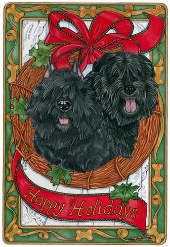 Pipsqueak Bouvier Des Flandres Christmas Cards : 10 Holiday Cards with Red Envelopes - ADORABLE!