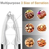 AUAUY B0FYQLYGN2 lato 4