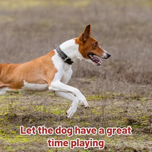 DvBCNMe 3 StüCk Gummihuhn Hundespielzeug, Das Spielzeug Quietscht FüR Den Hund, Hundespielzeug Unzerstörbar, Interaktives FüR Welpen Zum Zahnen,Kauspielzeug FüR Kleine Hunde