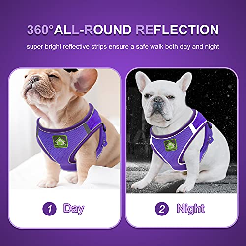 Image of FEimaX Dog Harness and Leash Set, No-Pull Breathable Soft Mesh Puppy Vest Harness Reflective Adjustable Pet Harnesses for Small Medium Dogs and Cats - Outdoor Easy Control for Walking