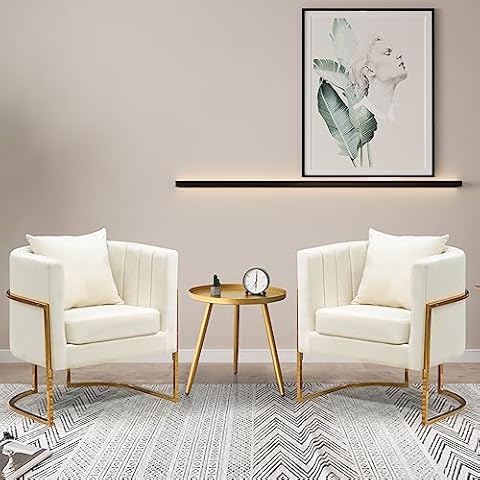 Newnno Velvet Accent Chairs Set of 2 Cover