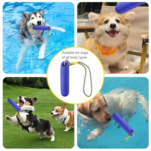 Hundespielzeug,Schwimm Spielzeug für Hunde,Wasserspielzeug für Hund Hundetraining,Interaktives Hundespielzeug,Trainieren und Apportieren im Wasser, Hunde Spielzeug für Mittelgroße, Große Hunde