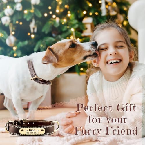 Personalisiertes Hundehalsband - Individuelles Hundehalsband aus Leder mit gravierbarem Namensschild. Robustes Namensschildhalsband, Bequeme ID-Halsbänder für kleine, mittelgroße und große Hunde