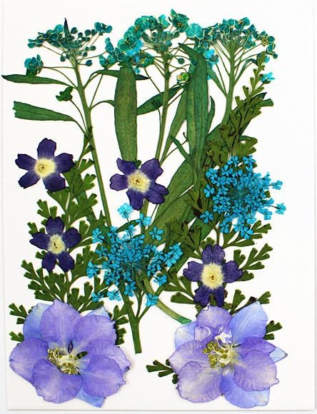 Mix Dried Flower Packet Purple Green Natural Real Dried & Pressed Flowers for Art Craft | Mixed Soap, Candle, Scrapbook, DIY, Resin Tray Jewellery, Pendant-image-24