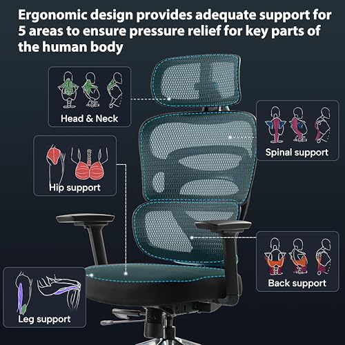 Image of EUREKA ERGONOMIC Gaming Chair, Computer Gamer Chair with Adjustable Lumbar Support, Ergonomic Mesh Gaming Chair, Comfortable High Back Office Desk Chair w Segmented Backrest for Adults, Black & Blue