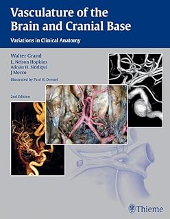 Vasculature of the Brain and Cranial Base: Variations in Clinical Anatomy