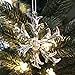 Style Glass Clear Glass Snowflake Ornament Winter Christmas Tree Hanging Decorations (12 Pieces).
