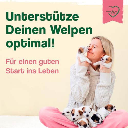 ida+ – Junior Complex 400g – Vitamine & Mineralstoffe für Hundewelpen – Gesundheitsprodukte für Hunde für ideales Wachstum von Welpen - Nahrungsergänzungsmittel Hund - Mineralien für Hunde