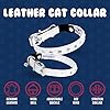 Athens Cat Collar, Leather Kitten Collar w/Rhinestones, Sturdy Breakaway Cat Collar with Bell & Elastic Stretch, Cat Accessories, Ivory White, 10 x ½ inches - Angel Pet Supplies #2