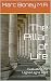 The Pillar of Life: Evaluating the Lagna/Lagna Lord
