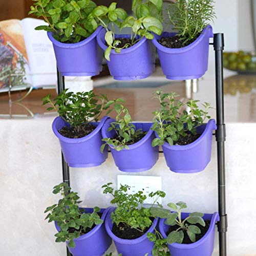 Watex Mobile Green Wall (Single Frame, Violet),Bpa-Free #TOP2