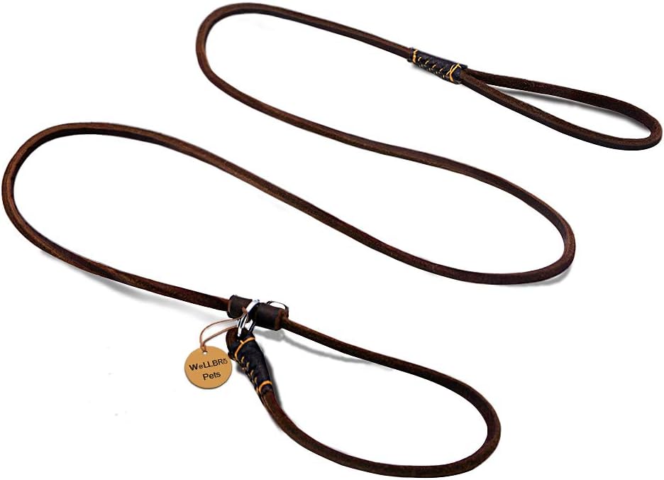 Real Leather Slip Dog Leash, Super Thin and Adjustable Slip Lead, Soft and Slim, Suit for Puppies Small Dogs, 160cm Long by 0.6cm Wide, Brown