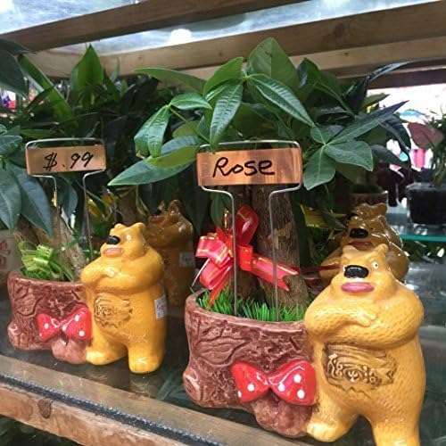 Pack of 30 Copper Plant Labels for Garden, Metal Plant Markers Nameplate, Plant Tags for Outdoor and Potted Plants (10" x 2.6") - Image 8