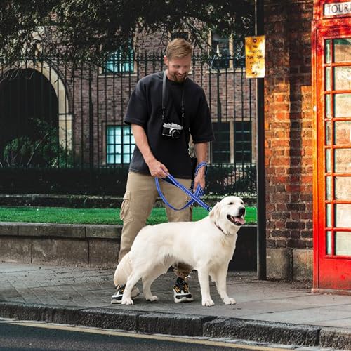 Trelas azuis de 1,8 m para cães de raças grandes, médias e pequenas que puxam, coleira resistente de