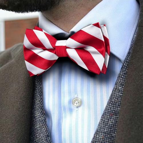 Image of Barry.Wang Paisley Striped Bow Tie for Men Silk Pre-Tied Bowtie Set