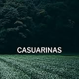 casuarina equisetifolia nitrogen fixing  Casuarinas
