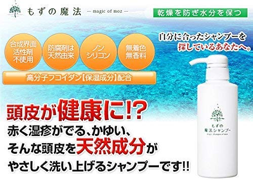Amazon | NEW もずの魔法シャンプー 水橋保寿堂製薬【正規品