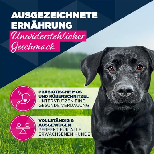 Eukanuba Hundefutter Nass mit Forelle und Süßkartoffeln, Getreidefreies Premium Nassfutter für ausgewachsene Hunde, 6 x 400 g Dosen