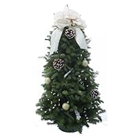 Algopix Similar Product 11 - Worcester Wreath 28Inch Winter