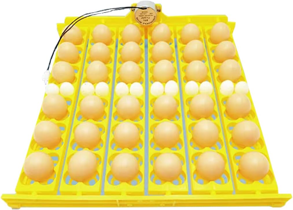 Egg Incubation Tray, 110V Fully Automatic Egg Incubation Tray Plastic Egg Incubator Tray Durable Egg Turner for Chicken Duck Quail, Holds 36 Eggs Or 156 Quail Eggs