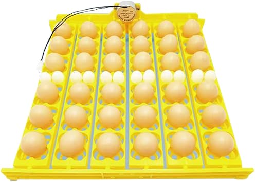 Egg Incubation Tray, 110V Fully Automatic Egg Incubation Tray Plastic Egg Incubator Tray Durable Egg Turner for Chicken Duck Quail, Holds 36 Eggs Or 156 Quail Eggs