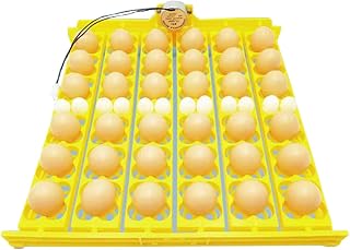 Egg Incubation Tray, 110V Fully Automatic Egg Incubation Tray Plastic Egg Incubator Tray Durable Egg Turner for Chicken Duck Quail, Holds 36 Eggs Or 156 Quail Eggs