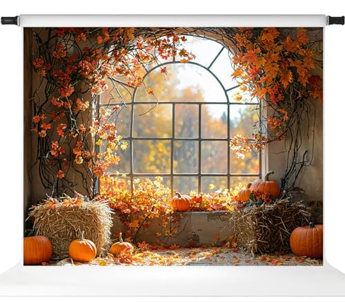 Toile de fond pour photographie d'automne Kate grand format citrouilles