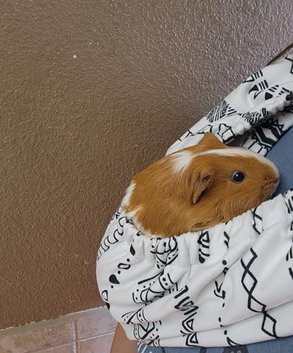 fleece bonding neck scarf small animal carrier pouch sling carrier cuddler anti-anxiety two layers for guinea pigs ferrets hedgehogs kittens sugar gliders and other small pets northern lights