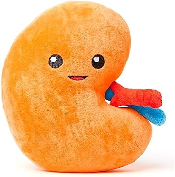 nerdbugs Kidney Plush Funny Urology Gift, Transplant & Dialysis Recovery Toy, Donor Appreciation, Nephrology Gift for Nurses, Doctors, Med Students, Adults & Kids