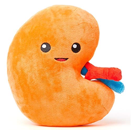 nerdbugs Kidney Plush – Funny Urology Gift, Transplant & Dialysis Recovery Toy, Donor Appreciation, Nephrology Gift for Nurses, Doctors, Med Students, Adults & Kids