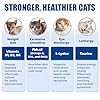 Just Try 23 in 1 Taurine for Cats Vitamins Treats with L-Lysine for Immune, Joint Support Skin & Coat & Heart Health - Multivitamin, Omega 3, Biotin Supplements for Indoor & Senior Cats - 300 Bites #1