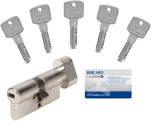 15104 Cylindre A6 30+30 à bouton avec 5 clés Nickelé Bricard