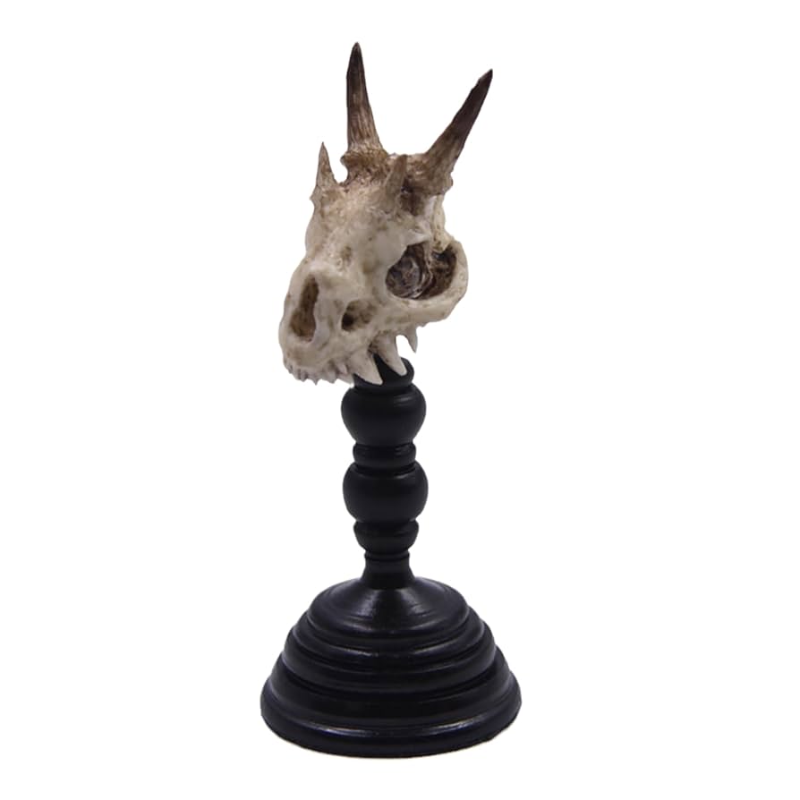 Amazon | BACALYSO | TTwei studio 幻想大陆-小妖怪の骨 2.0