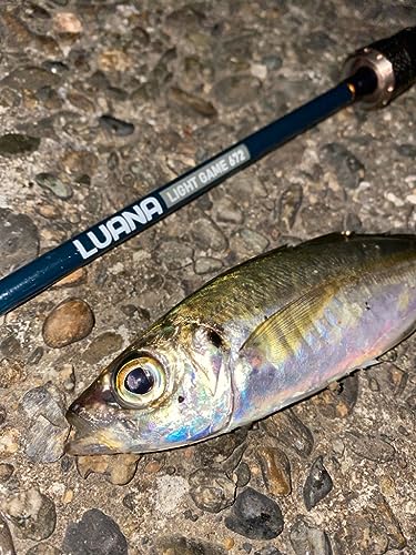 ツリノ LUANA LIGHT GAME 672