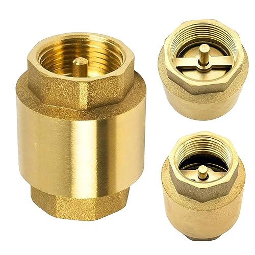 Rückschlagventil Feder, Vertikales Rückschlagventil Wasser, Rückflussverhinderer 1 Zoll für Brunnen, Saugschlauch, Hauswasserwerk, Waschmaschine, Gartenpumpe im Garten