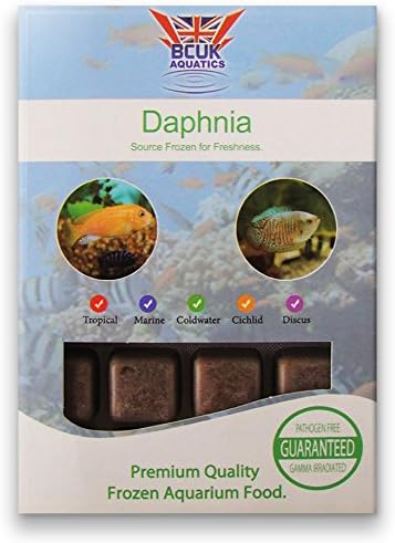 Daphnia