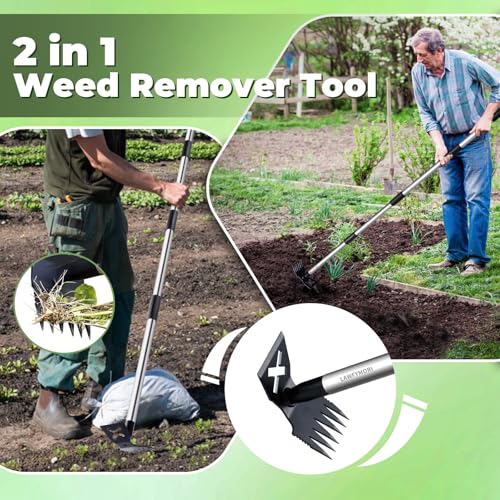 LAWFYMORI Weed Puller Tool with Long Handle, 150cm Weed Remover Gardening Tools, 2 in 1 Manual Weed Rake and Garden Hoe, Heavy Duty Weeding Pull for Yard, Lawn, Patio, Garden 2 LAWFYMORI Weed Puller Tool with Long Handle, 150cm Weed Remover Gardening Tools, 2 in 1 Manual Weed Rake and Garden Hoe, Heavy Duty Weeding Pull for Yard, Lawn, Patio, Garden - Image 2